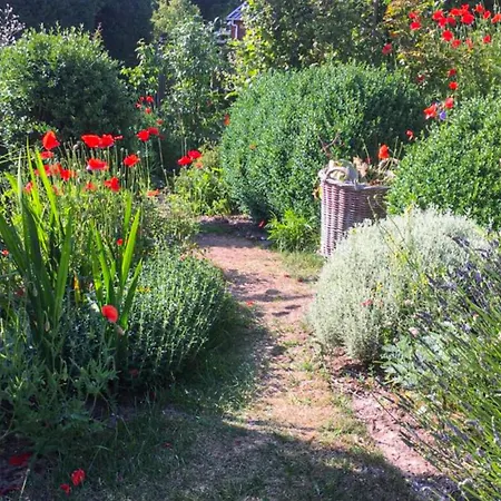 Zeemeermin Prázdninový dům Egmond aan Zee