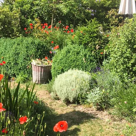 Zeemeermin * Egmond aan Zee