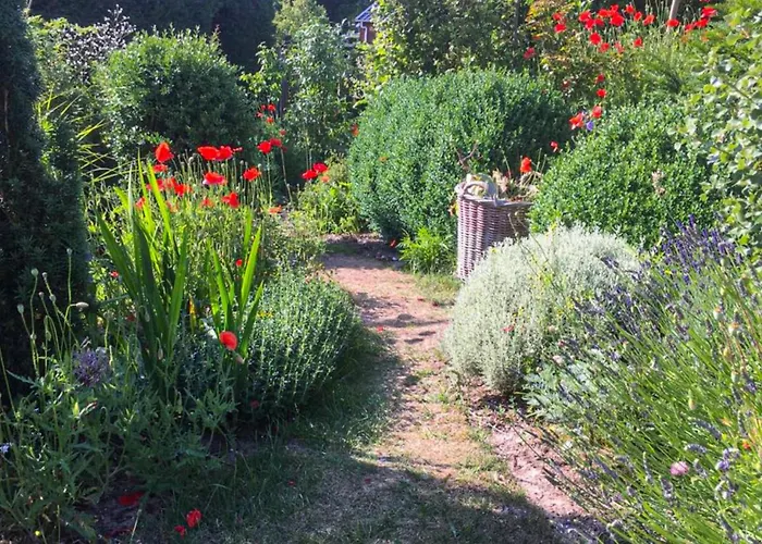 Zeemeermin Prázdninový dům Egmond aan Zee