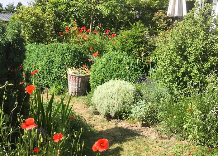 Zeemeermin * Egmond aan Zee
